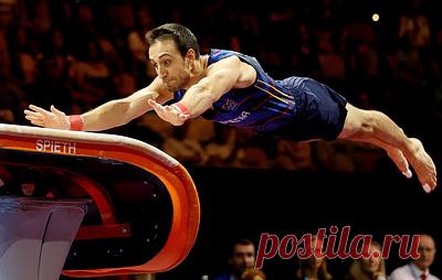 Давтян стал первым гимнастом в истории Армении, выигравшим золотую медаль чемпионата мира. Спортсмен победил в опорном прыжке