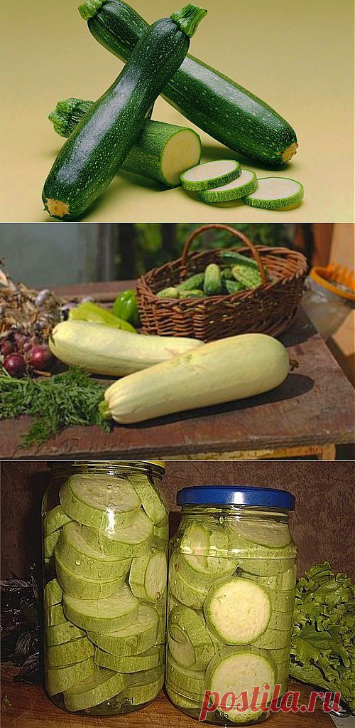 Рецепты маринования и засолки кабачков на зиму / Простые рецепты