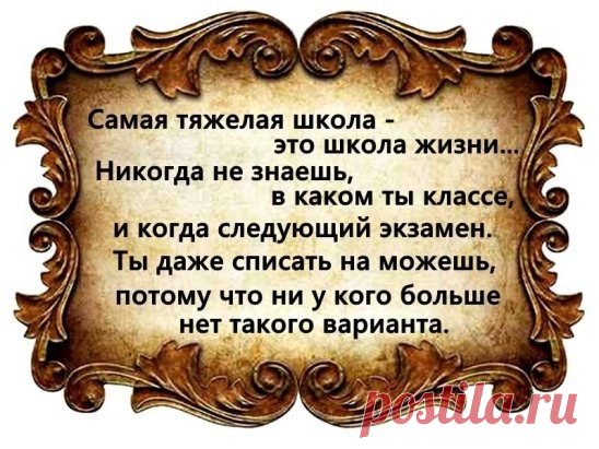 Школа жизни...