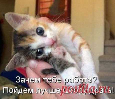 (99) Одноклассники