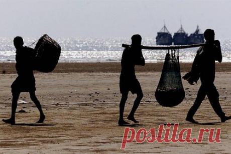 Двое мужчин изнасиловали туристку и привязали ее друга к дереву в Индии. Туристка подверглась групповому изнасилованию в курортном поселке Дигха в Индии. Спутники искали отель и обратились за помощью к двум местным жителям. Они отвели путешественников в укромное место, избили мужчину и привязали его к дереву, после чего надругались над женщиной.