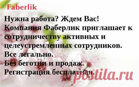 Сетевик - это образ жизни - Группы Мой Мир