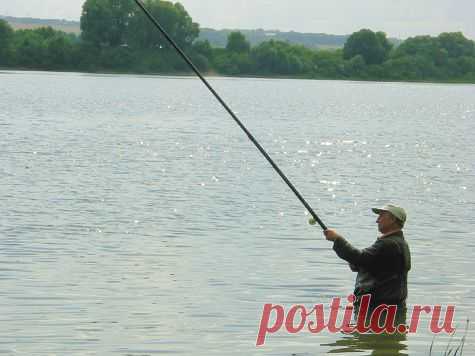 Крупная речная густера