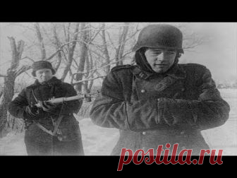 Этих солдат не брали в плен в Великую Отечественную В Великую Отечественную войну на стороне Советского Союза и Германии принимали участие многие рода войск. От простой пехоты, до спецподразделений, летчиков, моряков и десантников. Однако, были категории бойцов, которым при попадании в плен, на снисхождение рассчитывать не приходилось.