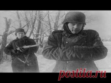Этих солдат не брали в плен в Великую Отечественную В Великую Отечественную войну на стороне Советского Союза и Германии принимали участие многие рода войск. От простой пехоты, до спецподразделений, летчиков, моряков и десантников. Однако, были категории бойцов, которым при попадании в плен, на снисхождение рассчитывать не приходилось.