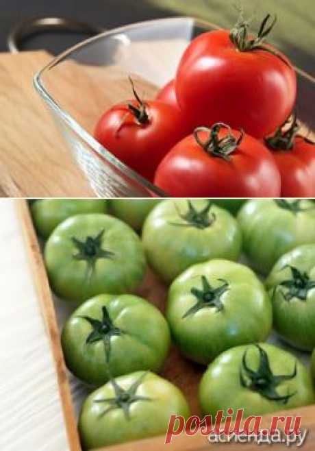 Как правильно хранить помидоры. Часть 1 - как правильно хранить помидоры, как правильно хранить томаты, хранение помидоров, хранение томатов,