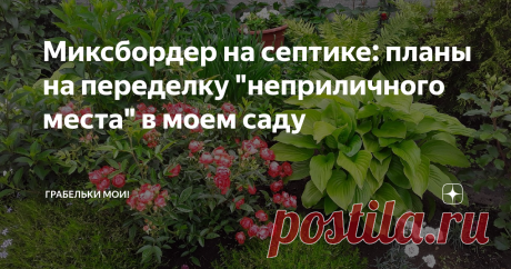 Миксбордер на септике: планы на переделку &quot;неприличного места&quot; в моем саду В моем саду есть место, по которому перепланировка уже даже не плачет, а рыдает в голос. Надо только собраться с духом, чтобы взять и переделать то, что &quot;только что&quot; сделано.
Посадки на септике, гордо именуемые мной миксбордером - по сути своей не что иное как &quot;склад-передержка&quot; всего, что &quot;притыкивалось&quot; сюда до луч