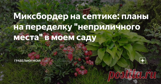 Миксбордер на септике: планы на переделку 