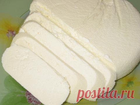 АДЫГЕЙСКИЙ СЫР.