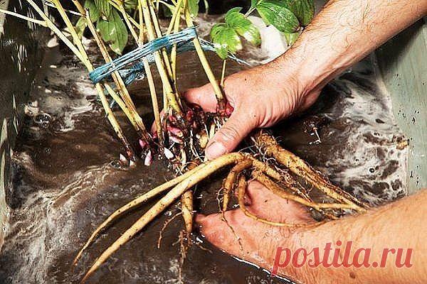 Одноклассники