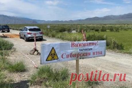 В Туве четверо госпитализированных с сибирской язвой ушли из больницы. Экстренное уведомление об этом направлено в Роспотребнадзор.