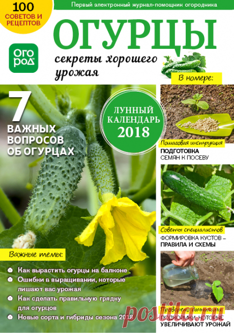 Огурцы - секреты хорошего урожая. Скачать журнал