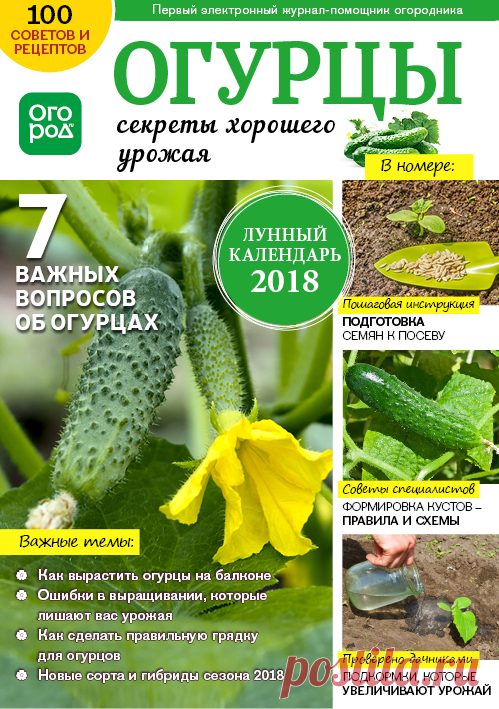 Огурцы - секреты хорошего урожая. Скачать журнал
