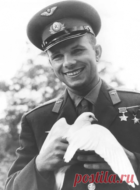 (12) Одноклассники