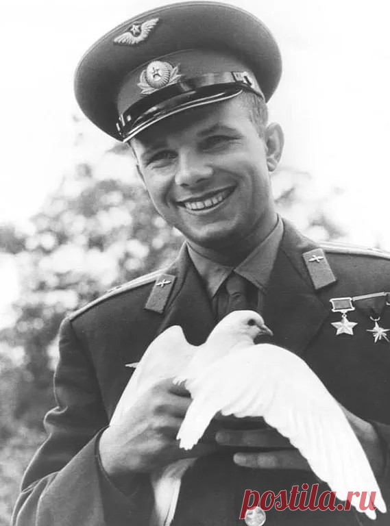 (12) Одноклассники