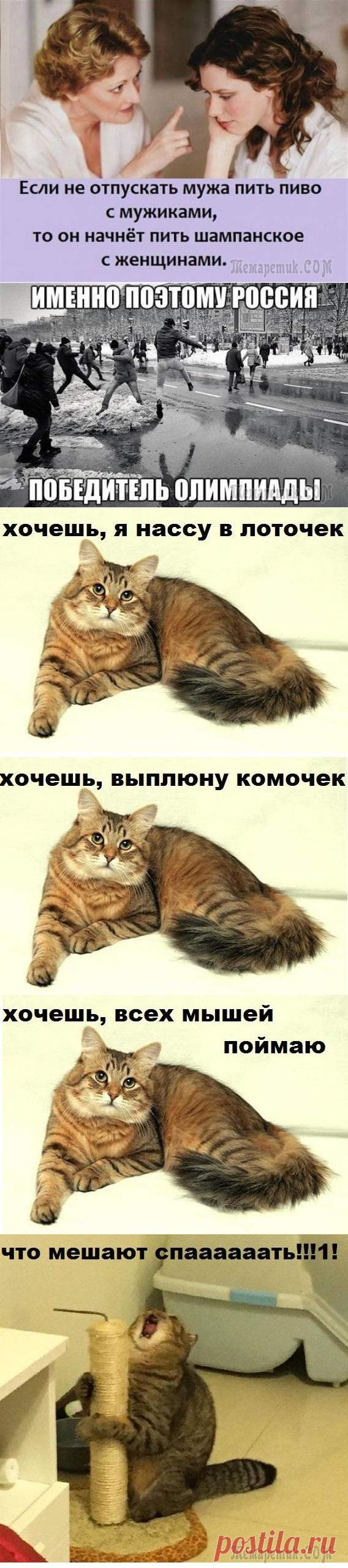 ШУТКИ ОТ ПРЕЗИДЕНТА