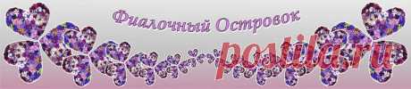 Загущение центра фиалки • Фиалочный Островок. Форум цветоводов и фиалководов