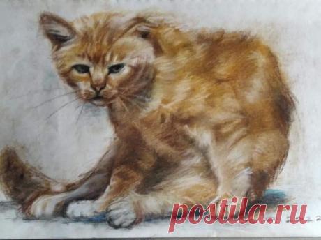(1) Кошки в искусстве - Cats and Artists | Группы | Facebook