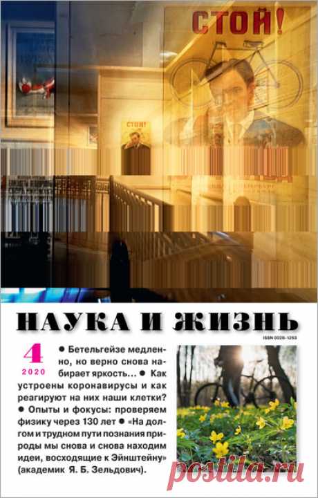 Глазированный и глазурованный | Наука и жизнь