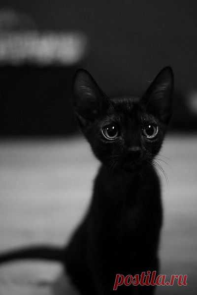 ❤