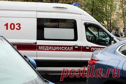 Россиянин не выжил после укуса распространенного насекомого