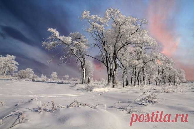 Фотография подморозило из раздела пейзаж №5796697 - фото.сайт - Photosight.ru