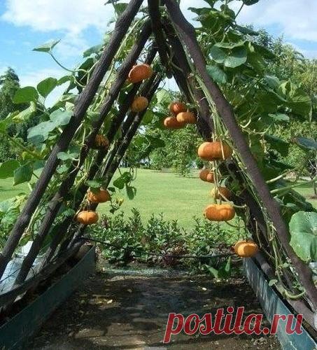 Дачные идеи