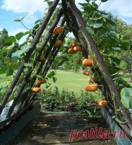 Дачные идеи