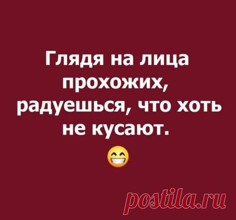 Юмор>Улыбнитесь!