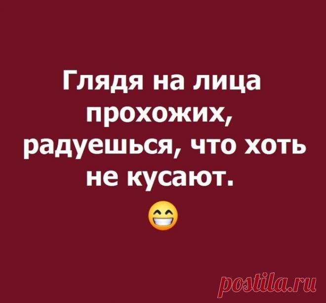 Юмор>Улыбнитесь!