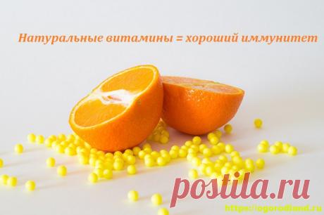 4 натуральных продукта, которые заменят аптечные витамины
