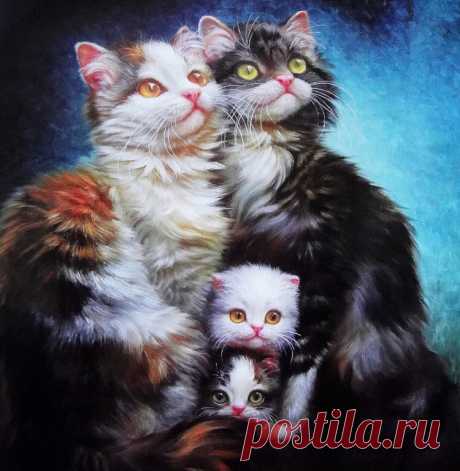 (93) Одноклассники