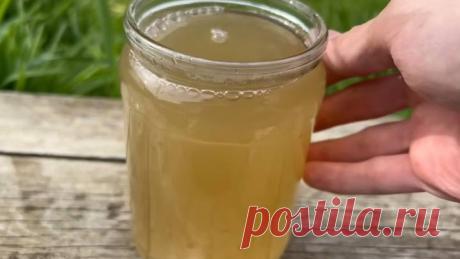 Огурцы будете раздавать всем соседям. Настойка для огурцов — для бурного роста и большого урожая