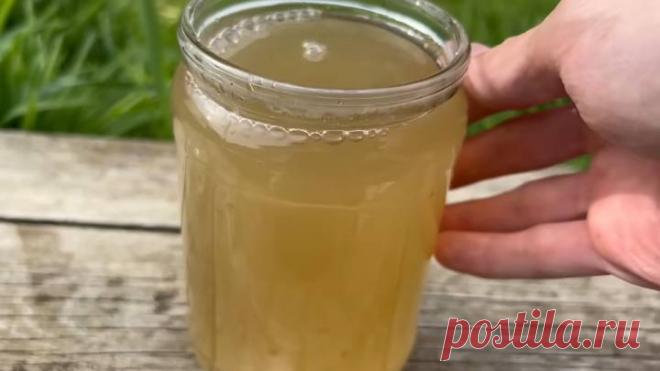 Огурцы будете раздавать всем соседям. Настойка для огурцов — для бурного роста и большого урожая