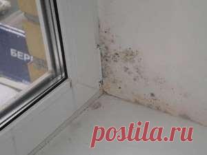 Сырость в доме: способы, позволяющие быстро от нее избавиться | Люблю Себя