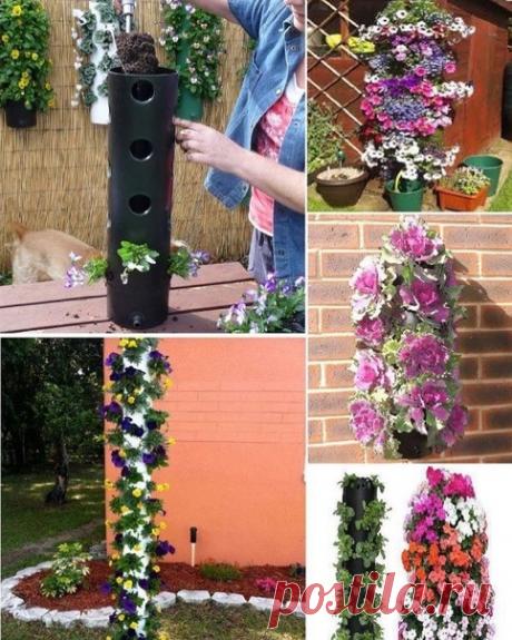 Отличное решение для вертикального цветника.

Берите на заметку.
