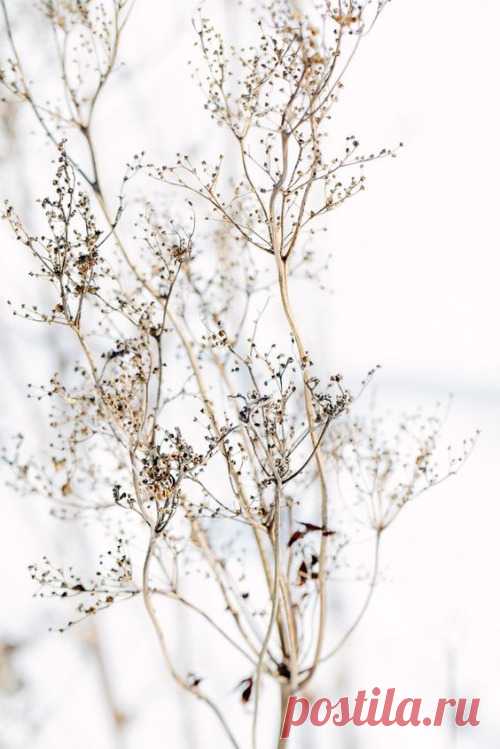 What if winter is not a place outside?