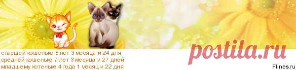 Натуральное питание (часть 4) • Форум КОТОДОМ