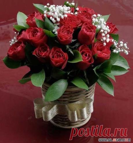 wasfee: В жизни я слышал многое — клятвы, обещания, комплименты, но лучшее, что я слышал — тишина. В ней нет лжи.