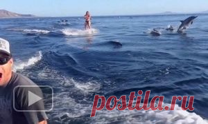 Выступление российской гимнастки потрясло жюри во Франции