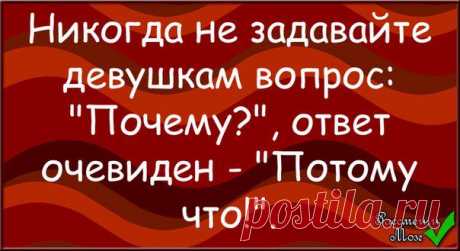 Анекдоты