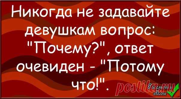 Анекдоты