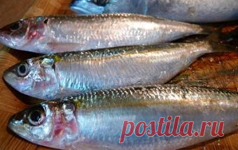 Маринованная хамса / TVCook: пошаговые кулинарные рецепты c фото