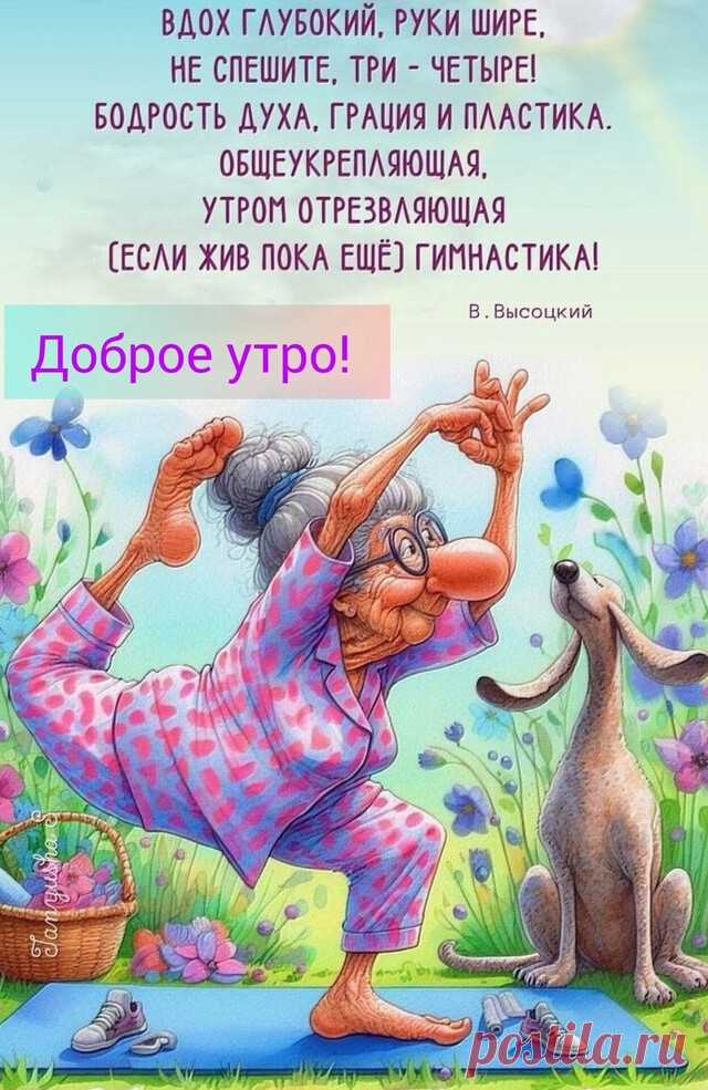 i (640×985)