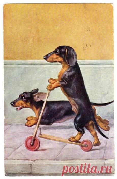 Найдено на сайте ebay.com.