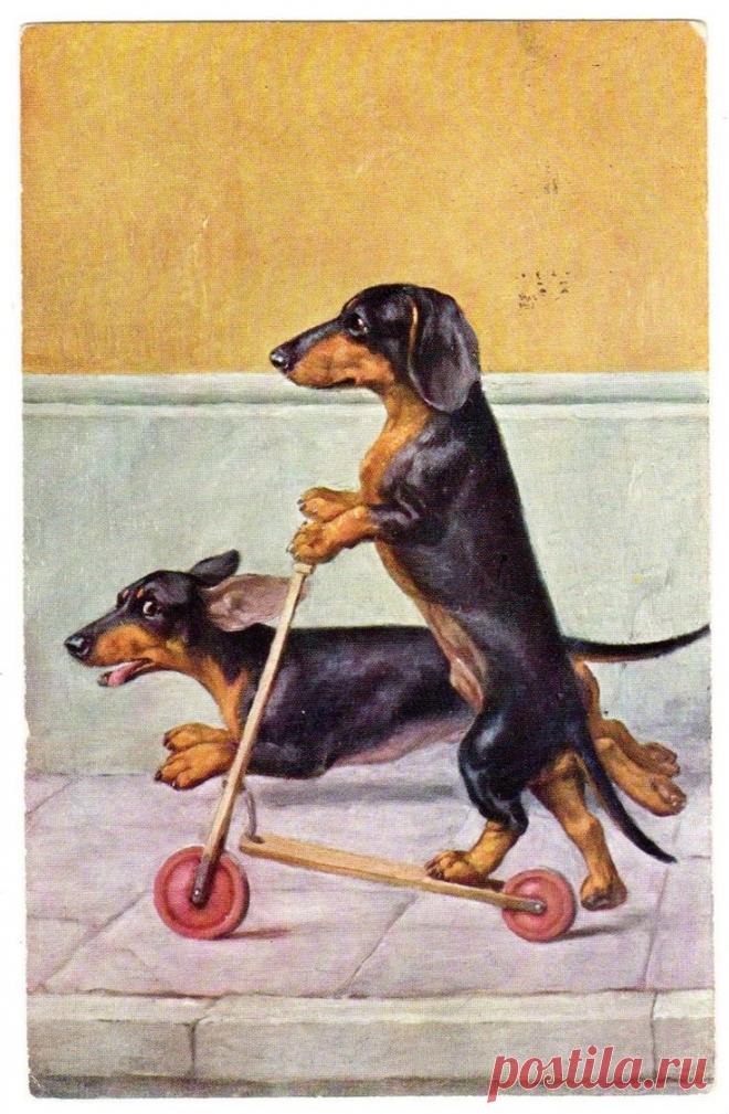 Найдено на сайте ebay.com.