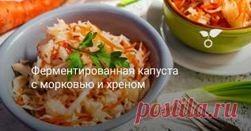 Ферментированная капуста с морковью и хреном — Ботаничка Ферментированная капуста с морковью и хреном – пикантная, чуть жгучая и невероятно вкусная. За 4 дня будет готова, если в доме тепло. Полезный продукт, который обязательно нужно включать в свое ежедневное меню.
