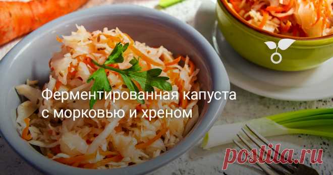 Ферментированная капуста с морковью и хреном — Ботаничка Ферментированная капуста с морковью и хреном – пикантная, чуть жгучая и невероятно вкусная. За 4 дня будет готова, если в доме тепло. Полезный продукт, который обязательно нужно включать в свое ежедневное меню.