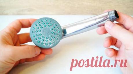 Не спешите выбрасывать старую лейку для душа — опробуйте эту идею…. Идеи, советы и мастер класс своими руками