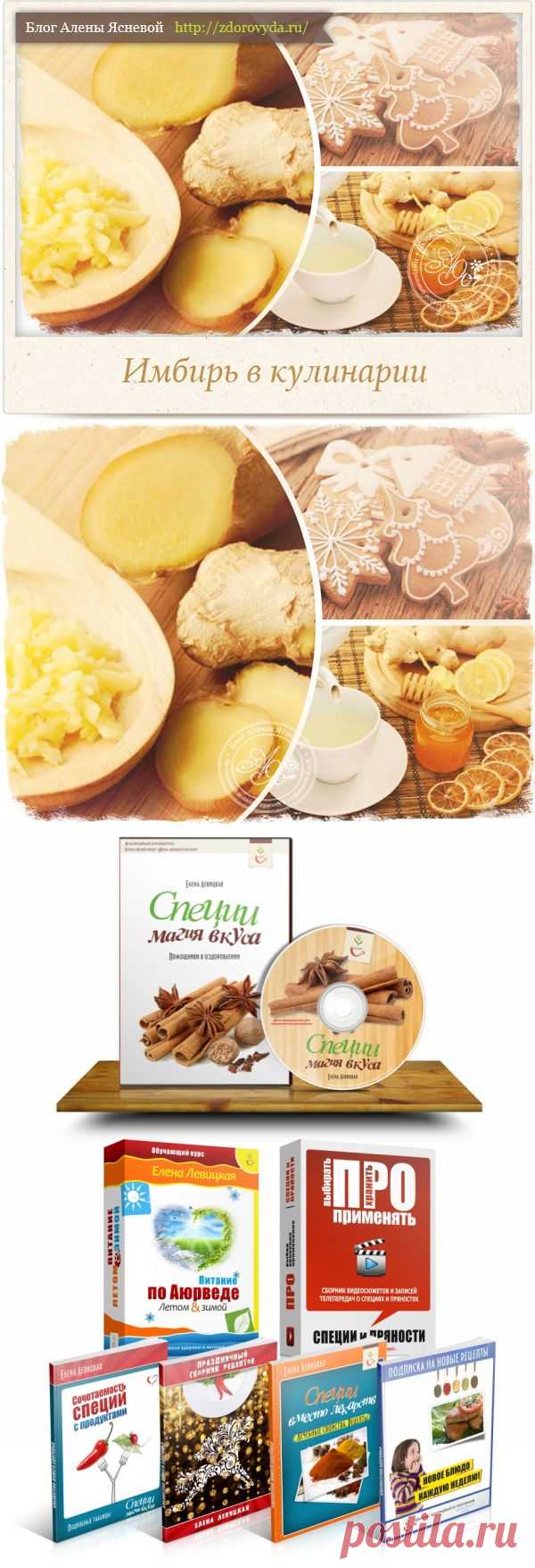 Как использовать имбирь в кулинарии -все секреты